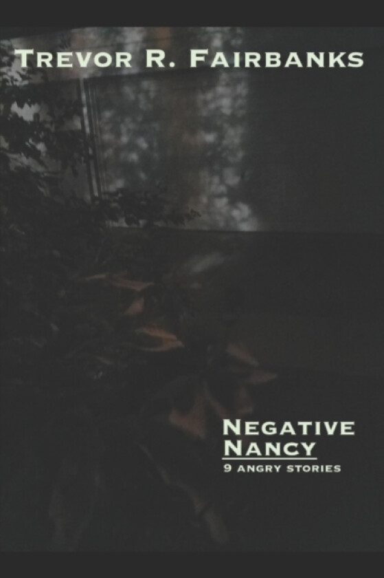 Negative Nancy av Trevor R Fairbanks (Paperback)