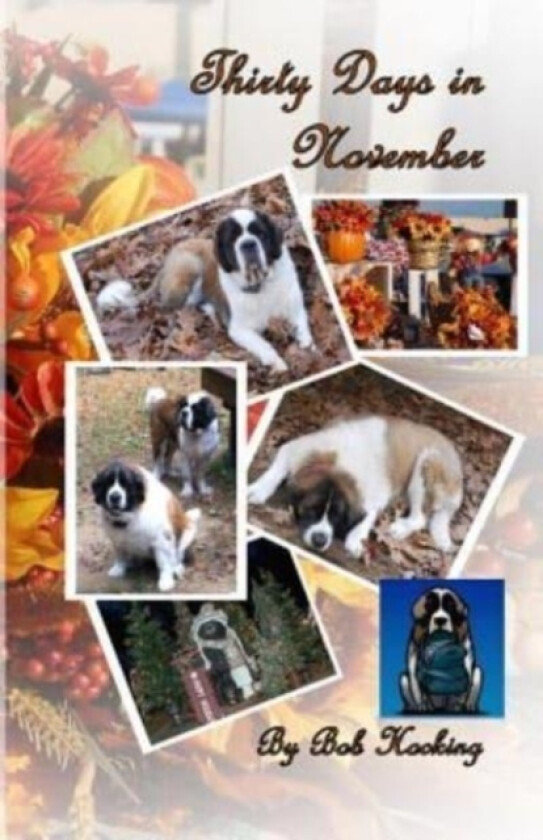 Thirty Days in November av Bob Hocking (Paperback)