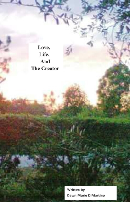 Love, Life, and The Creator av Dawn M DiMartino (Paperback)