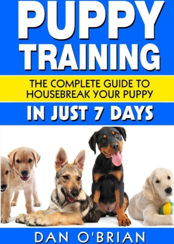 Puppy Training av Dan O'Brian (Paperback)