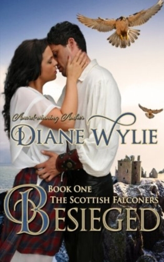 Besieged av Diane Wylie (Paperback)