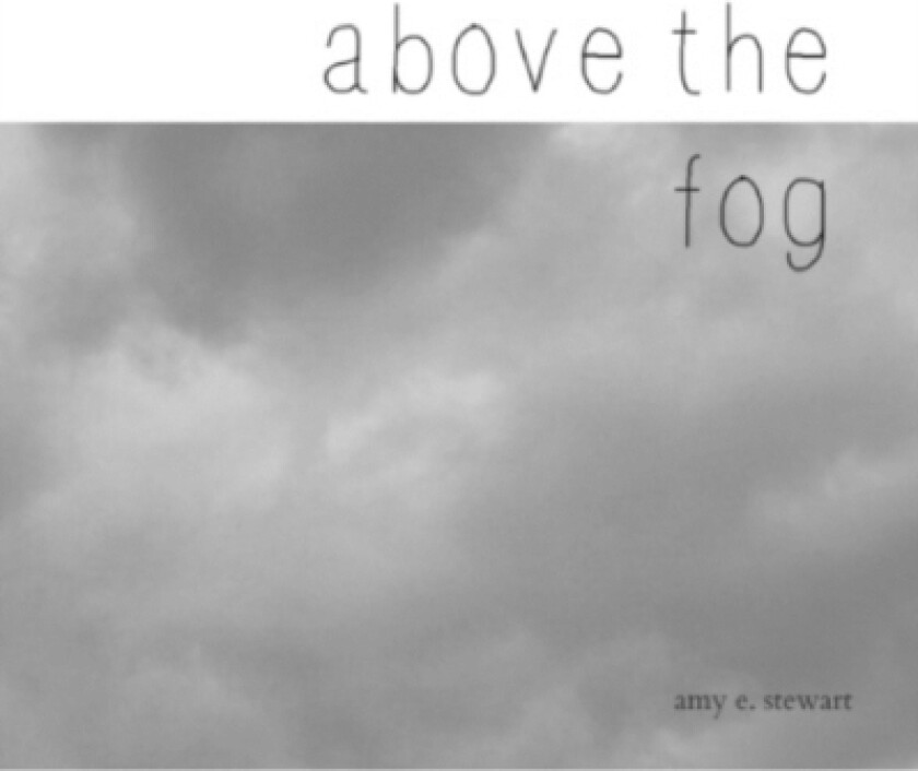 above the fog. av Amy E Stewart (Paperback)
