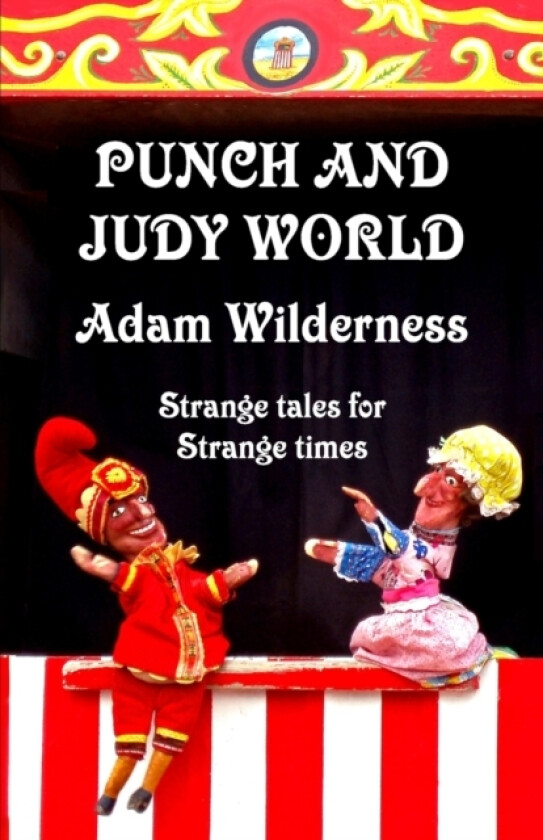 Punch and Judy World av Adam Wilderness (Paperback)