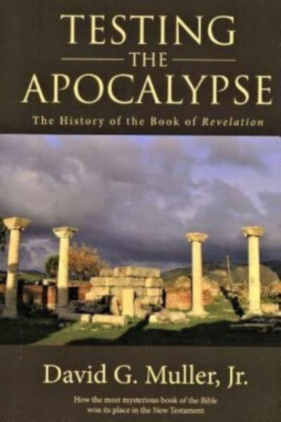 Testing the Apocalypse av David G Jr Muller (Paperback)