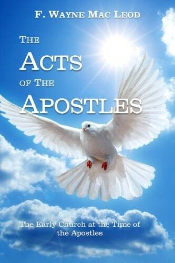 Acts av F Wayne Mac Leod (Paperback)