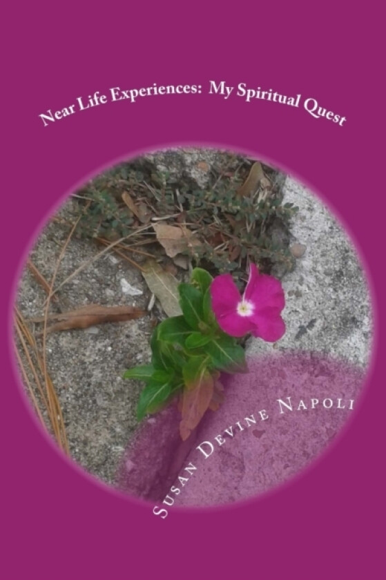 Near Life Experiences av Susan Devine Napoli (Paperback)