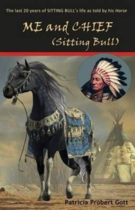 ME and CHIEF (Sitting Bull) av Patricia Probert Gott (Paperback)