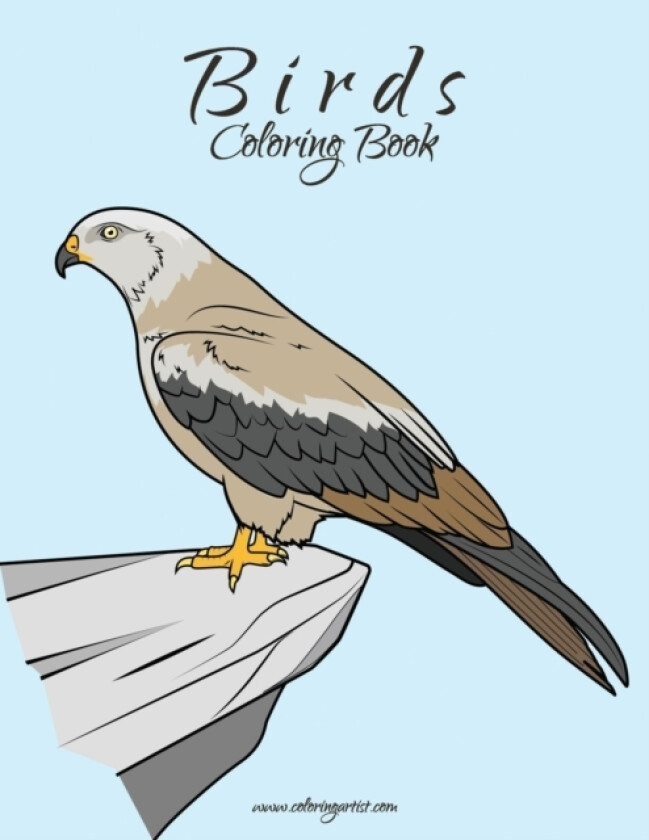 Birds Coloring Book 1 av Nick Snels (Paperback)