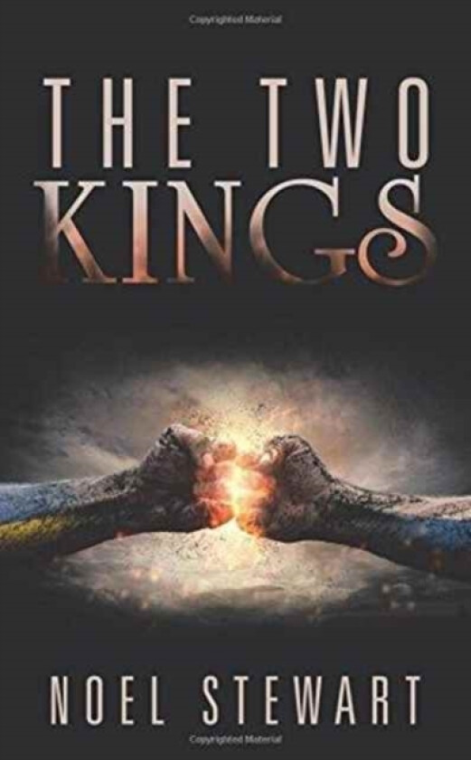 The Two Kings av Noel Stewart (Paperback)