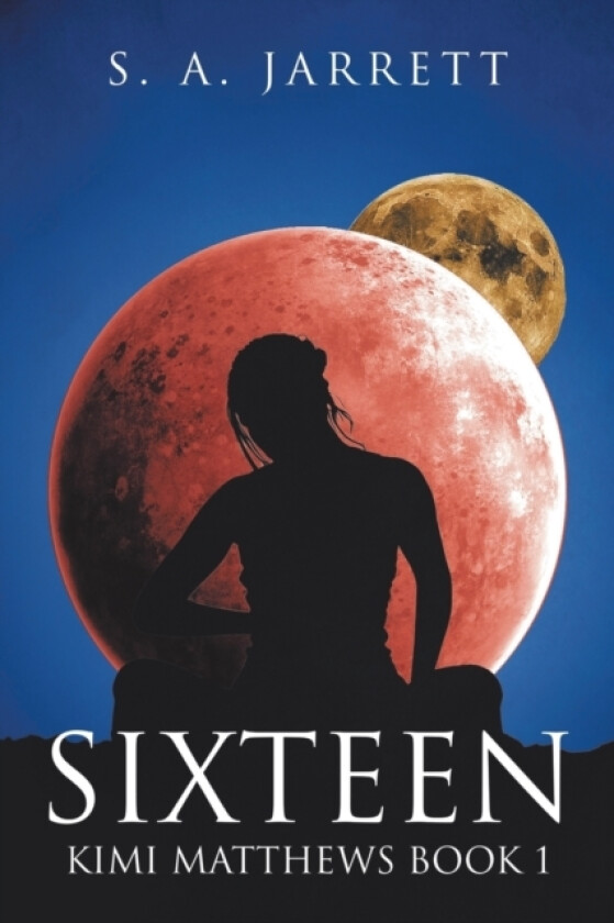 Sixteen av S a Jarrett (Paperback)