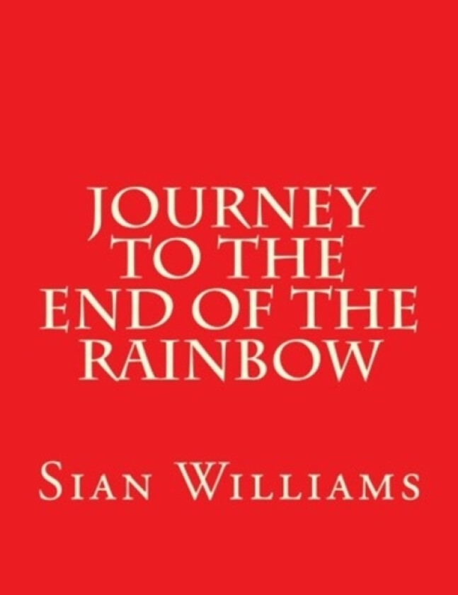 Journey to the End of the Rainbow av Sian M Williams (Paperback)