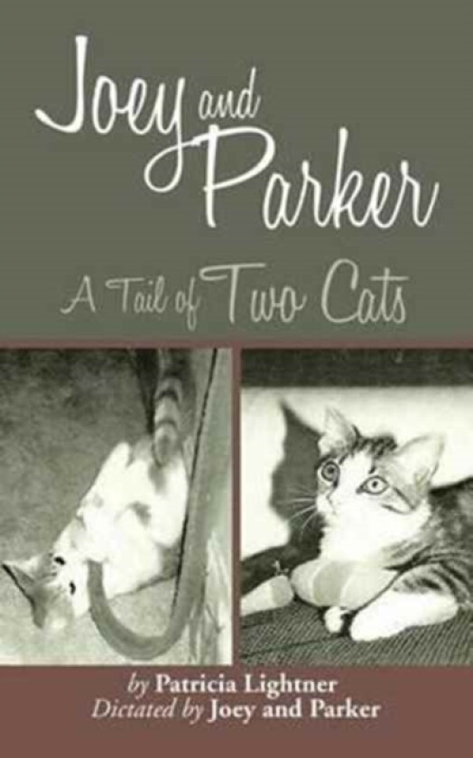 Joey and Parker av Patricia Lightner (Paperback)