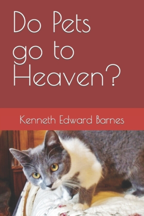 Do Pets go to Heaven? av Kenneth Edward Barnes (Paperback)