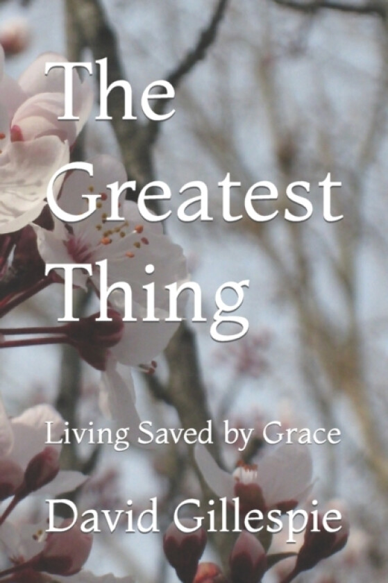 The Greatest Thing av David M Gillespie (Paperback)