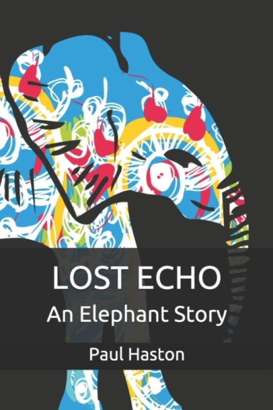 Lost Echo av Paul Haston (Paperback)
