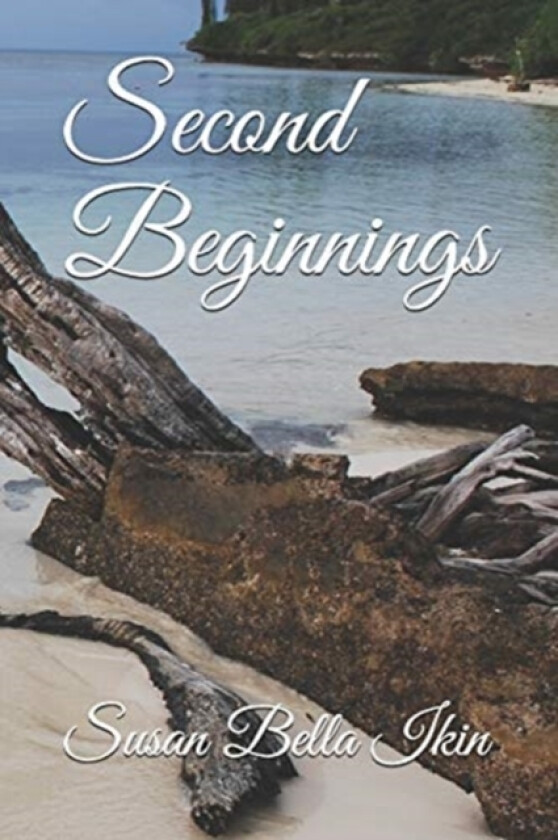 Second Beginnings av Susan Bella Ikin (Paperback)