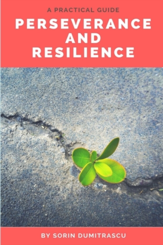 Perseverance and Resilience av Sorin Dumitrascu (Paperback)