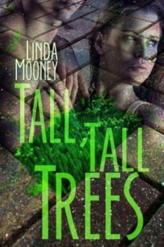 Tall, Tall Trees av Linda Mooney (Paperback)