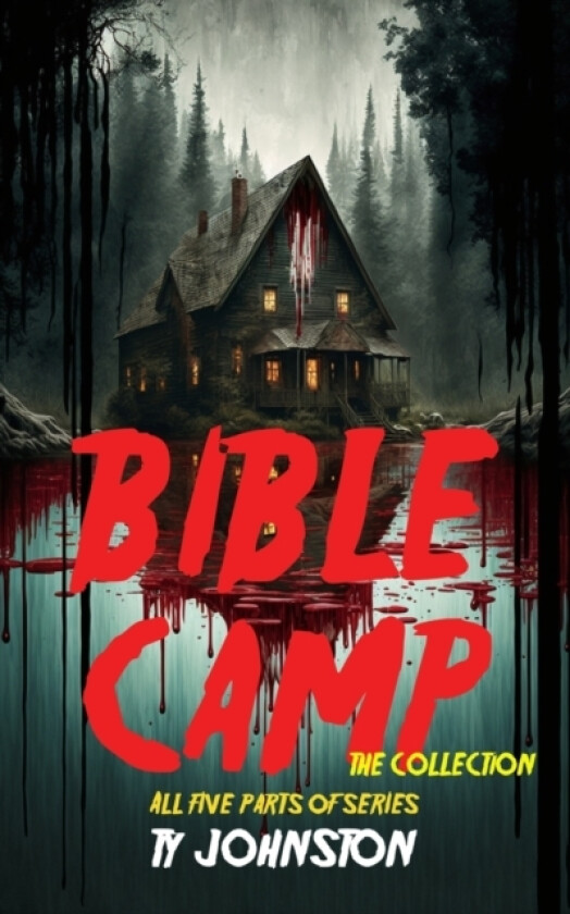 Bible Camp av Ty Johnston (Paperback)