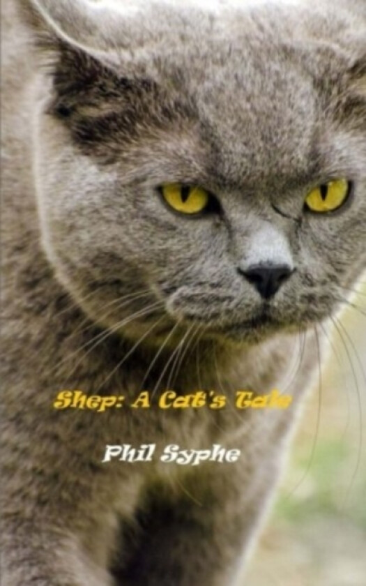 Shep av Phil Syphe (Paperback)