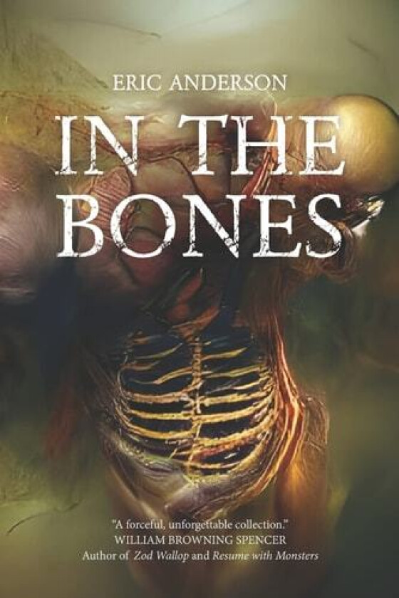 In the Bones av Eric B Anderson (Paperback)