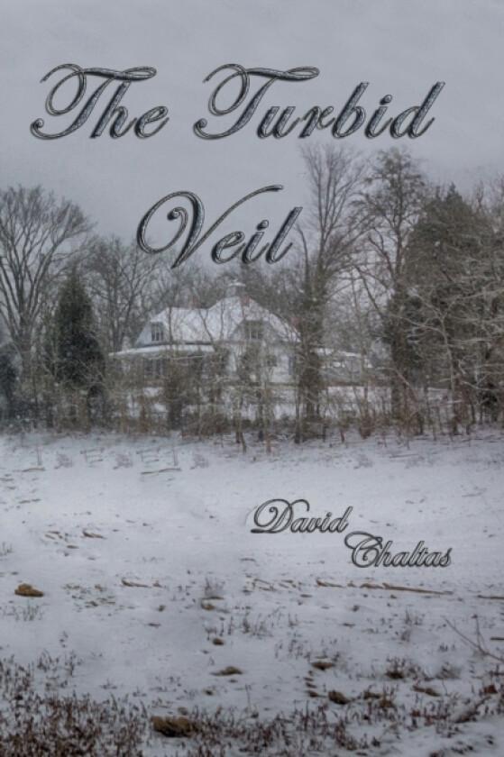 The Turbid Veil av David Chaltas (Paperback)