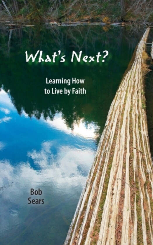 What's Next? av Bob Sears (Paperback)