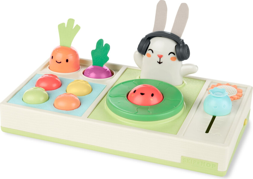 - Farm stand Activity toy DJ Set