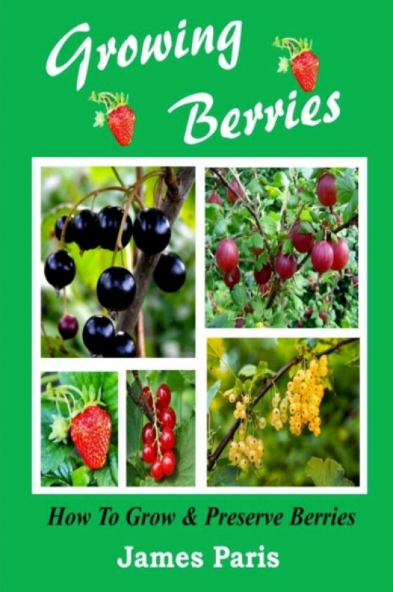 Growing Berries - How To Grow And Preserve Berries av James Paris (Paperback)
