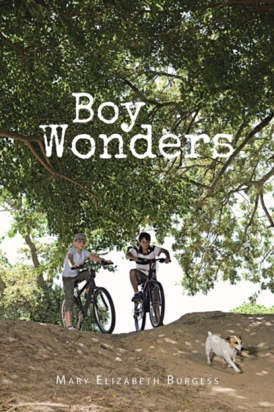 Boy Wonders av Mary Elizabeth Burgess (Paperback)