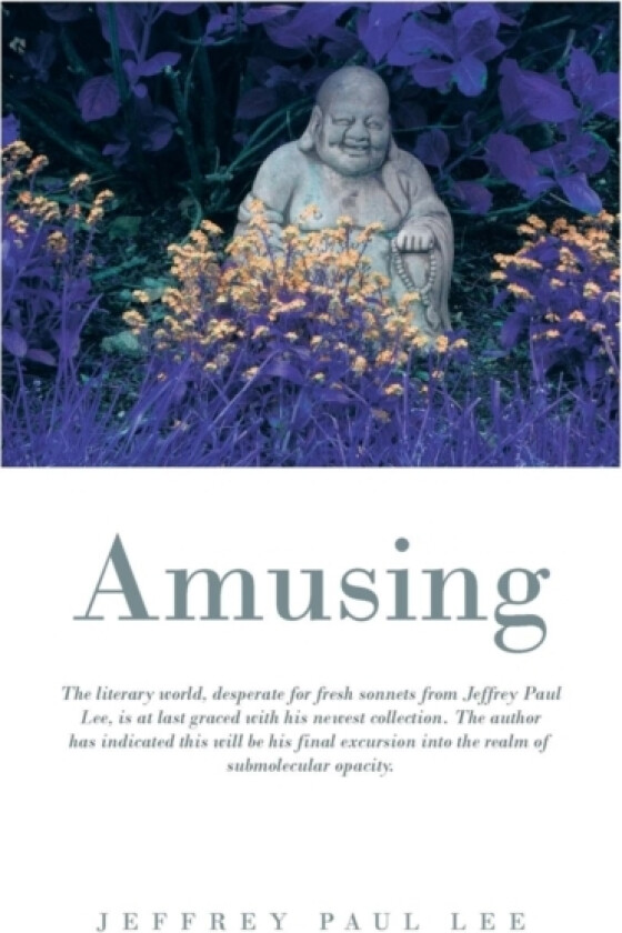Amusing av Jeffrey A Lee (Paperback)