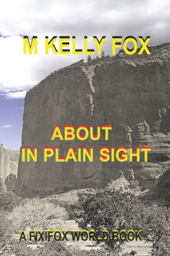 About, In Plain Sight av M Kelly Fox (Paperback)