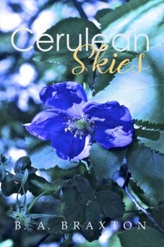 Cerulean Skies av B a Braxton (Paperback)