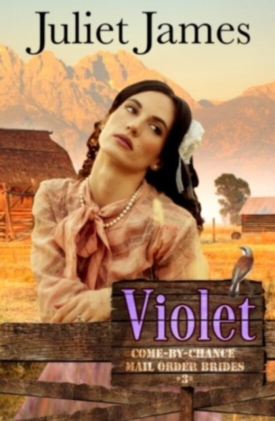 Violet - Book 3 Come By Chance Mail Order Brides av Juliet James (Paperback)