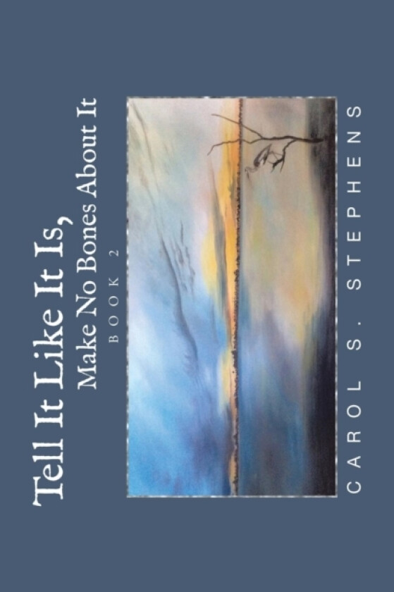 Tell It Like It Is, Make No Bones About It av Carol S Stephens (Paperback)