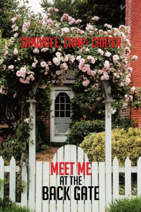 Meet Me at the Back Gate av Sandra E Camp- Carter (Paperback)