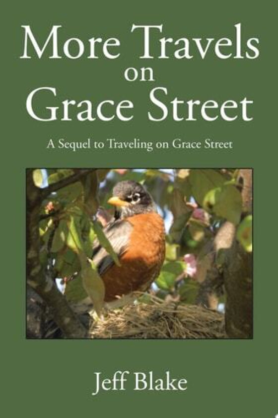 More Travels on Grace Street: A Sequel to Traveling on Grace Street av Jeff Blake (Paperback)