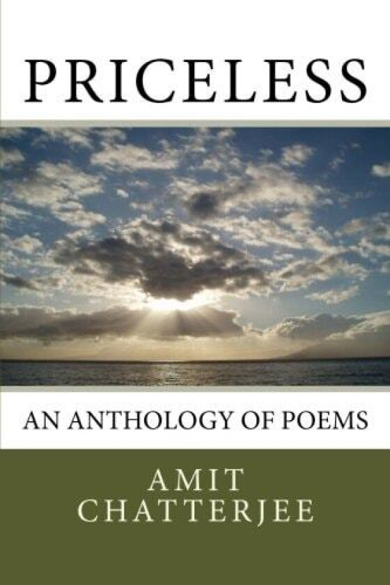 Priceless av Amit Kumar Chatterjee (Paperback)