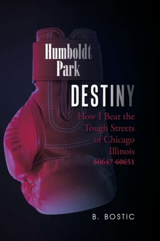 Destiny av B Bostic (Paperback)