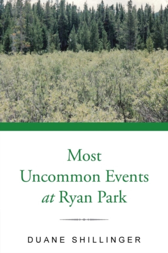 Most Uncommon Events at Ryan Park av Duane Shillinger (Paperback)