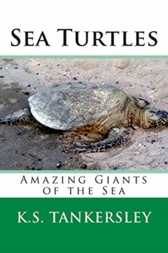 Sea Turtles av K S PH D Tankersley (Paperback)