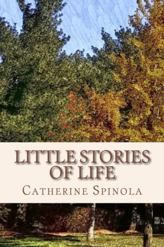 Little Stories of Life av Catherine Spinola (Paperback)