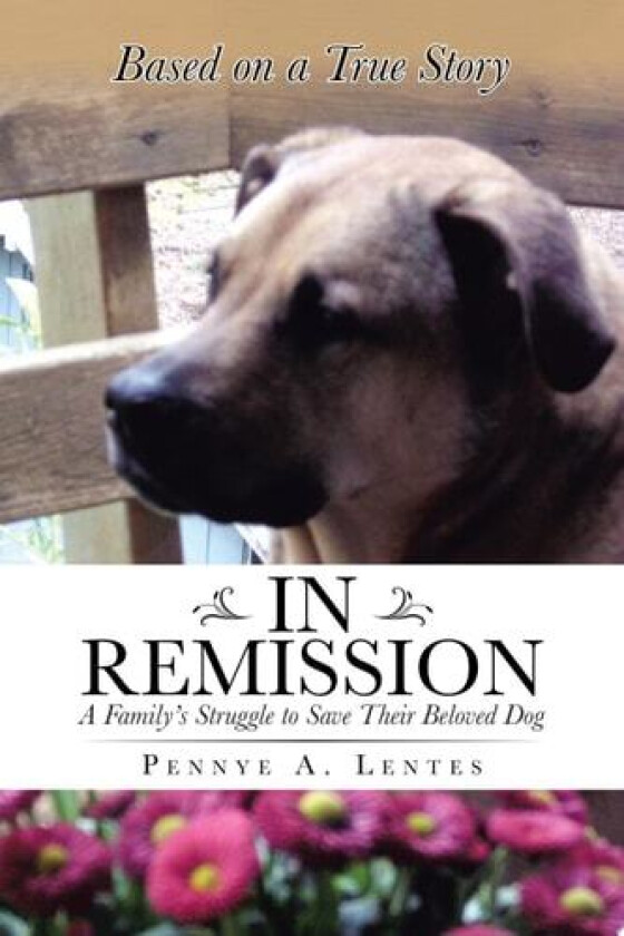 In Remission av Pennye a Lentes (Paperback)