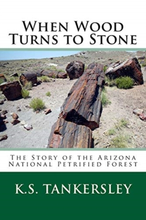 When Wood Turns to Stone av K S Tankersley (Paperback)
