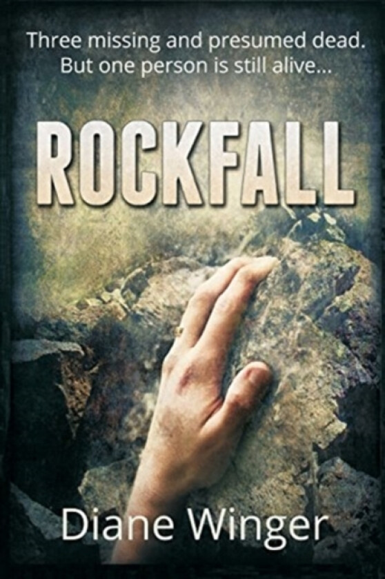 Rockfall av Diane Winger (Paperback)
