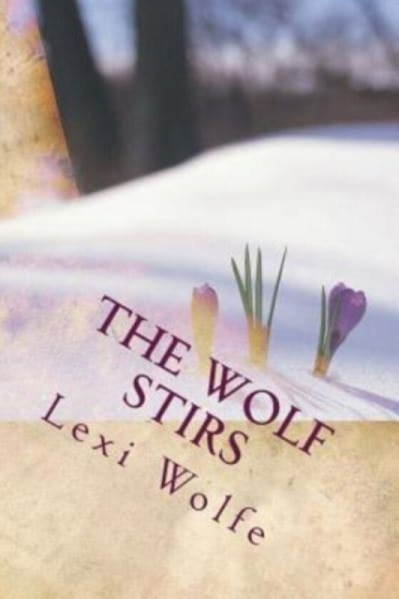The Wolf Stirs av Lexi Wolfe (Paperback)