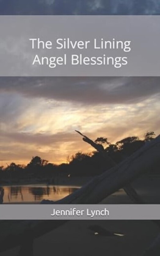 The Silver Lining av Jennifer Lynch (Paperback)