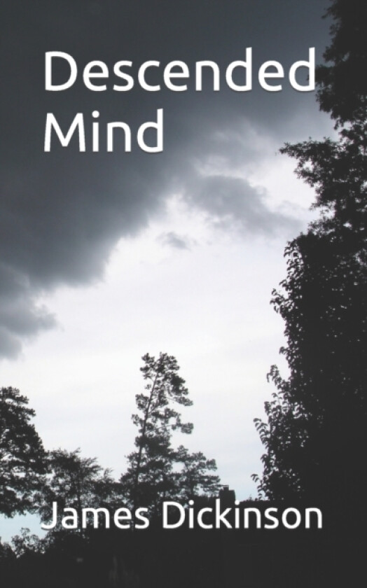 Descended Mind av James H Jr Dickinson (Paperback)