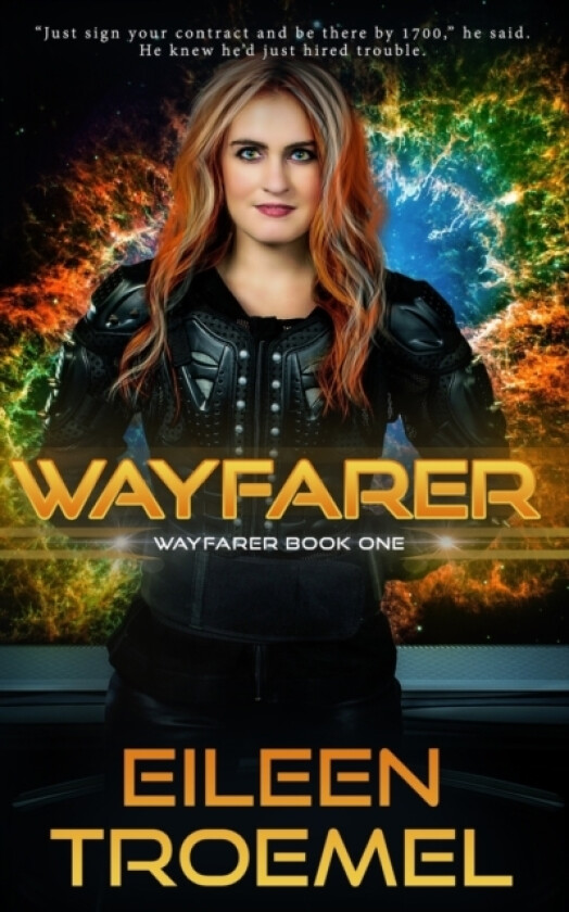 Wayfarer av Eileen Troemel (Paperback)