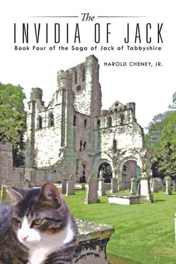The Invidia of Jack av Harold Jr Cheney (Paperback)